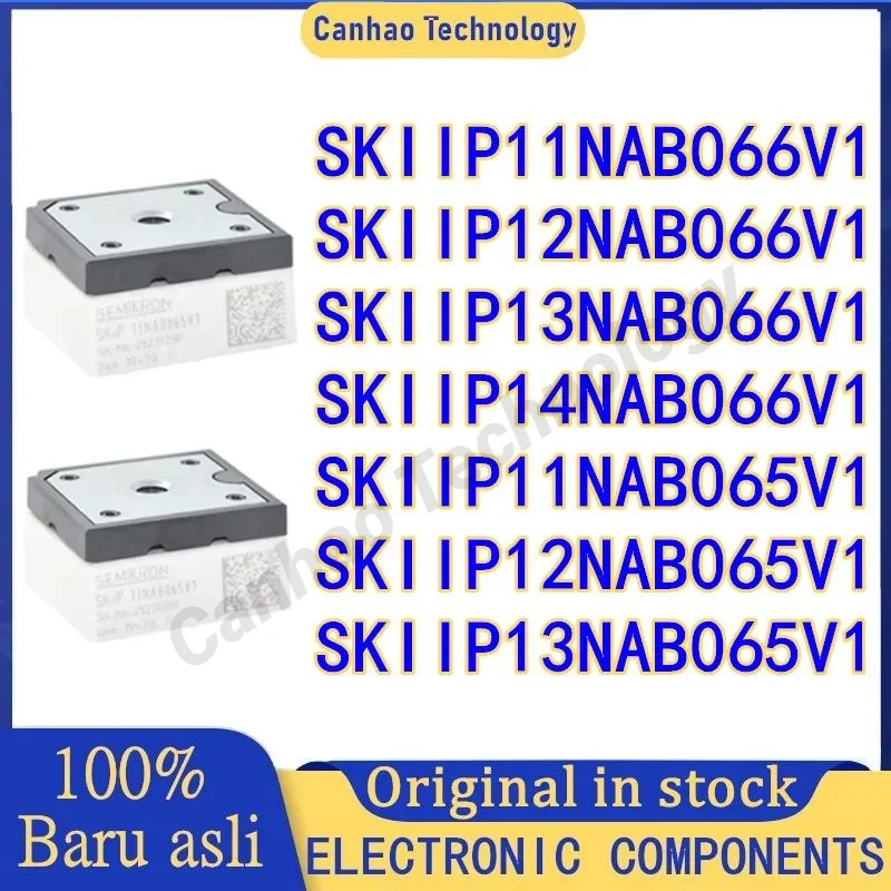 

SKIIP11NAB066V1 SKIIP12NAB066V1 SKIIP13NAB066V1 SKIIP14NAB066V1 SKIIP11NAB065V1 SKIIP12NAB065V1 SKIIP13NAB065V1 Power module