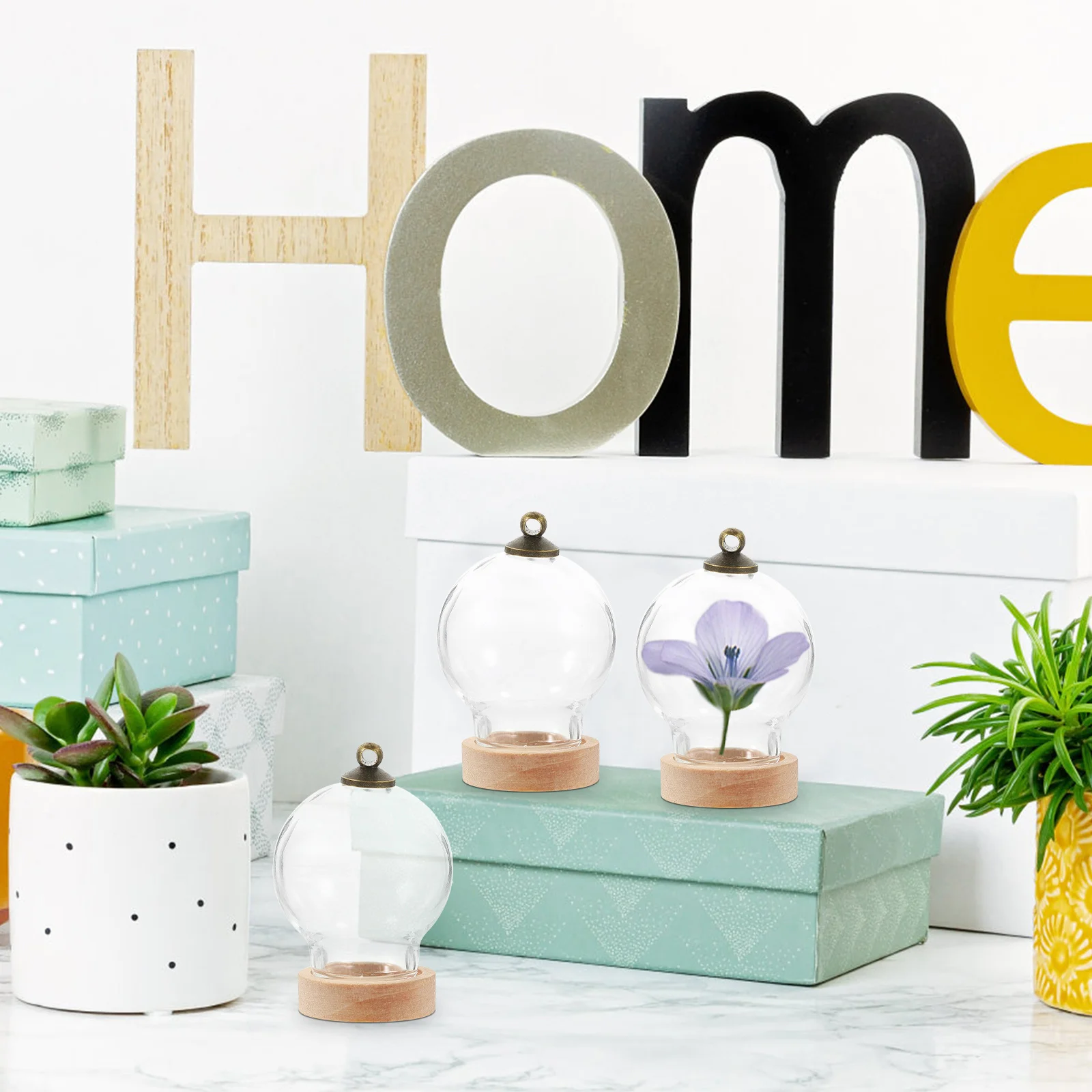 3 قطع من قبة زجاجية على شكل زهرة الحياة الأبدية، حافظة عرض شفافة، قاء زجاجي صغير مع قاعدة لتزيين سطح الطاولة، منظر طبيعي صغير