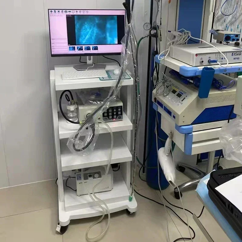 Customized Veterinary Endoscope Gastrointestinal Endoscopy Pet Animal Hospital Ca-me-ra Endoscopic 4k Endoscopic Image System