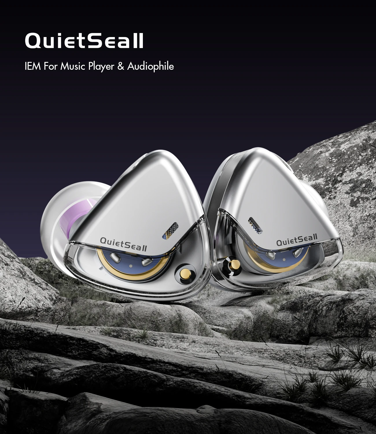 

ROSESELSA QuietSea II Dynamic Diaphragm Driver IEM Wired in Ear HIFI Earphones Monitors with Module Cable