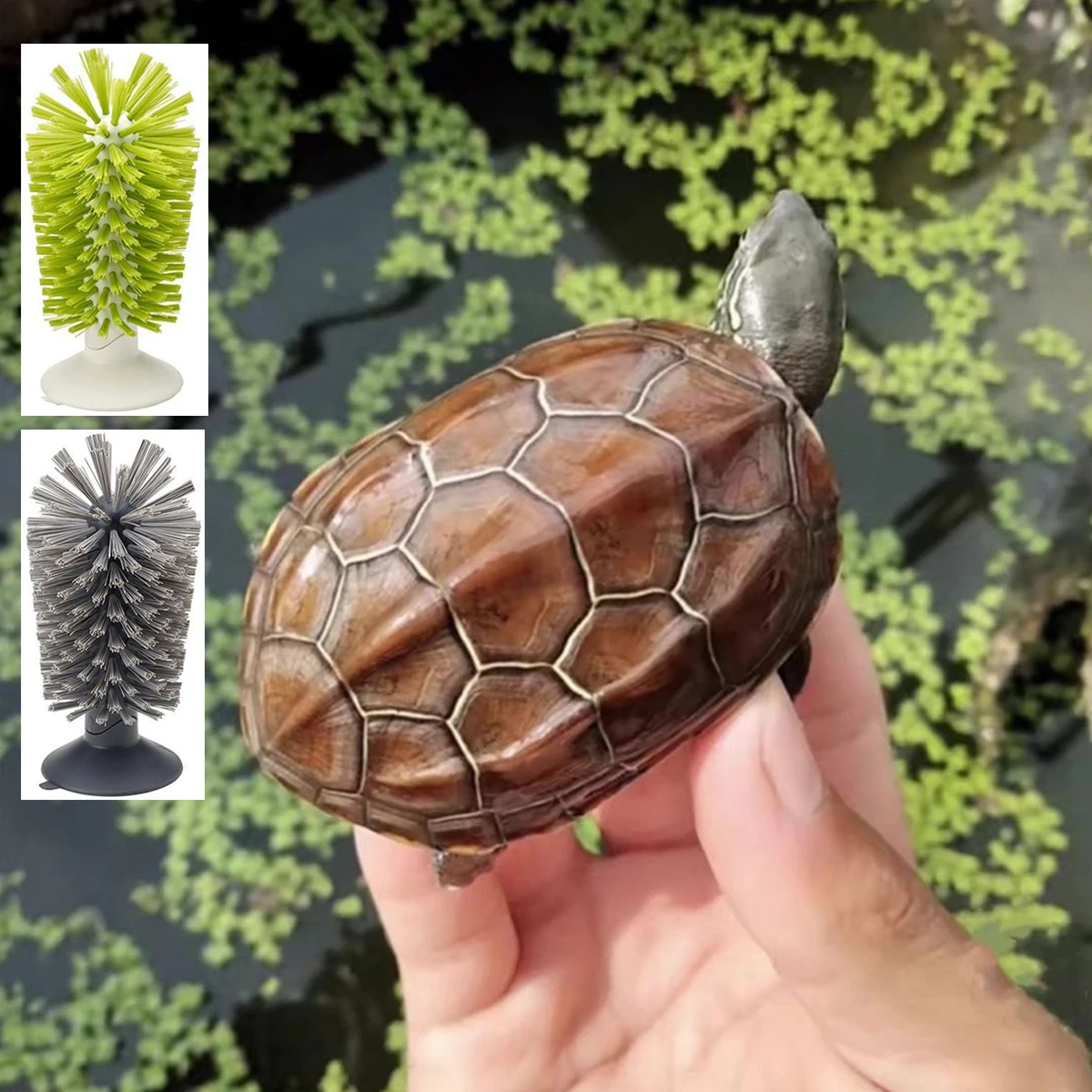 1Pc Tank Turtle Back Scrub Brush Amphibian Friendly PVC Suction Cup Exfoliation Tool for Removing Shell Scutes Promoting Health