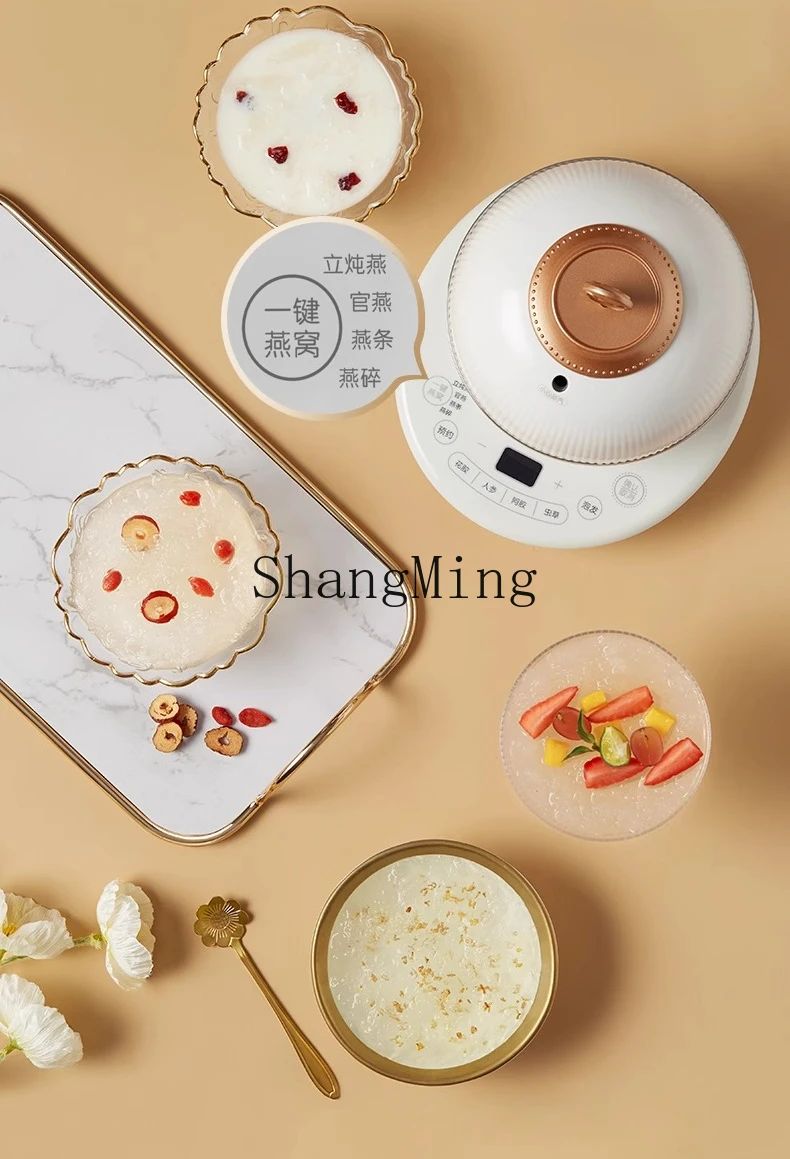 ZYY الحساء المقاوم للماء المنزلية وعاء الحساء الكهربائي التلقائي حساء السيراميك الصغيرة آلة الطبخ متعددة الوظائف