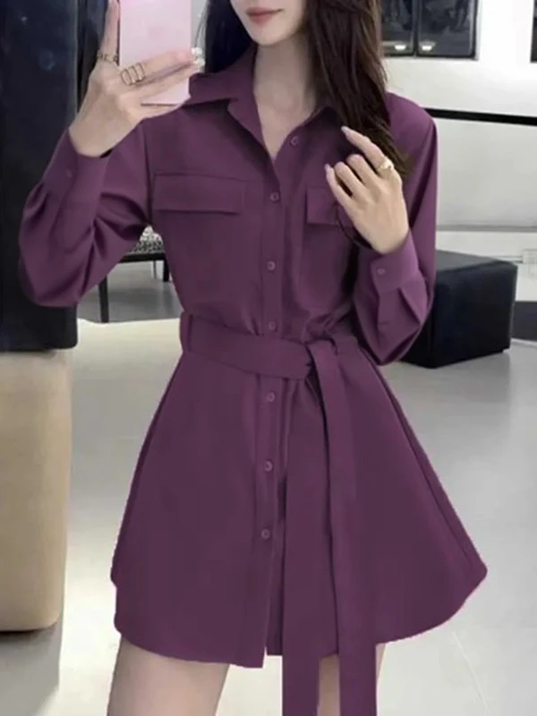 

Faionable с поясом для похудения, весенне-осенний комплект из двух предметов D3225, длинный круглый пуловер со светом, топ и юбка, ансамбль