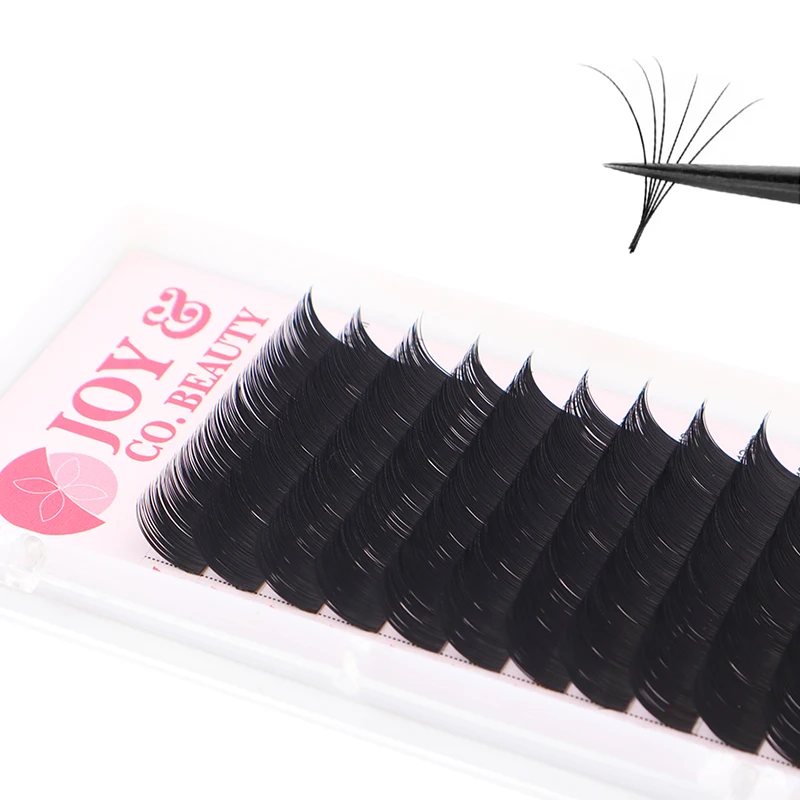 20Case/Lot JoyCo LASHES Korea PBT 12Rows C D CC DD Curl Eyelash Extension False Individual Lashes Hand Made Faux Mink Eyelashes