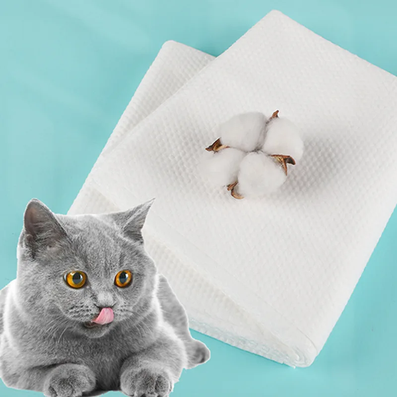 10Pcs/Lot Pet Dog Bath Towel Super Absorbent Cotton Washable Towels for Small Medium Large Cats Dog Cleaning Tool Disposable