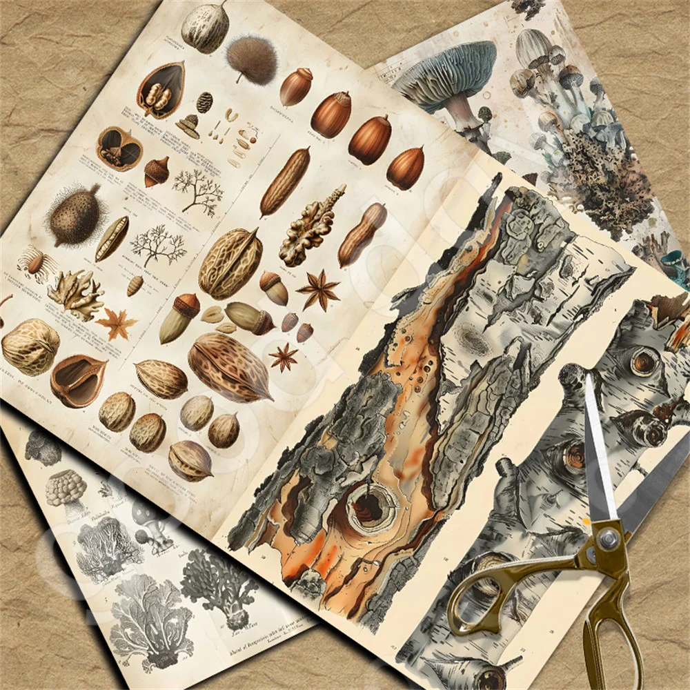 Botanical world 10 sheets material paper vintage do old dead tree nut pattern handbook DIY notebook background paper diary album view 4