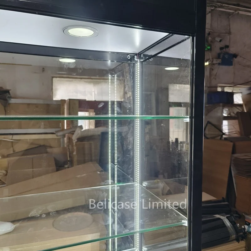 custom，Best Price Product Double Side Glass Door With Down Shoot LED Light