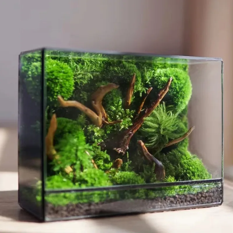 

Ventilated Rectangular Glass Terrarium Tank with Metal Frame Reptile Habitat Gecko Enclosure or Indoor Plant Display