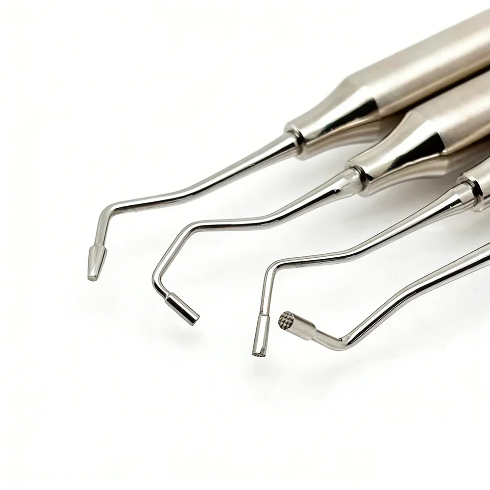 4Pcs /Set Professional Dental Bone Graft Filling Instrument Kit Bone Powder Delivery Device & Burnisher Plugger