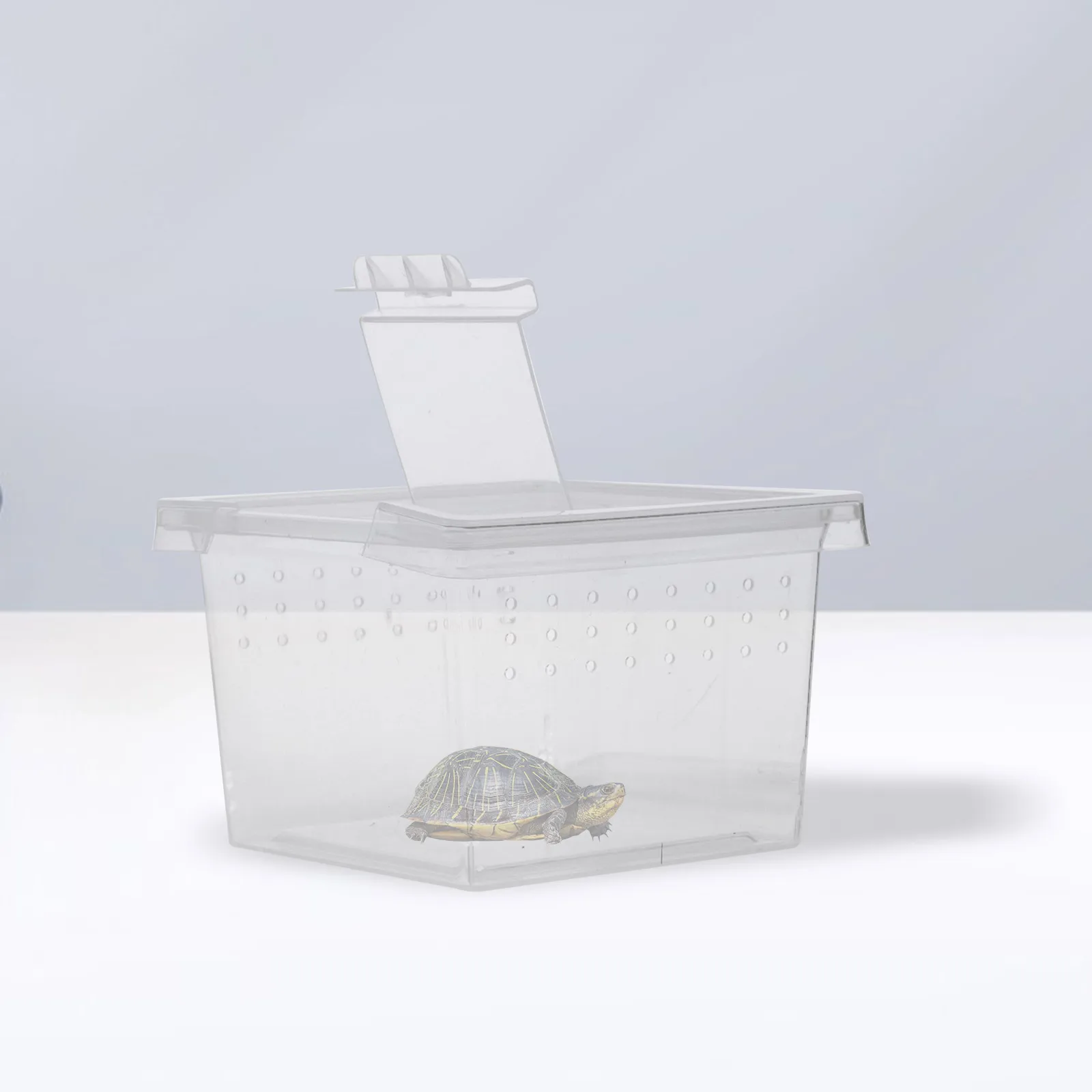

20pcs Observation Box 6 5x6 5x4 5cm Insect Container Clear Feeding Boxes Gecko Tank Spider Terrarium Breathing Hole Secure