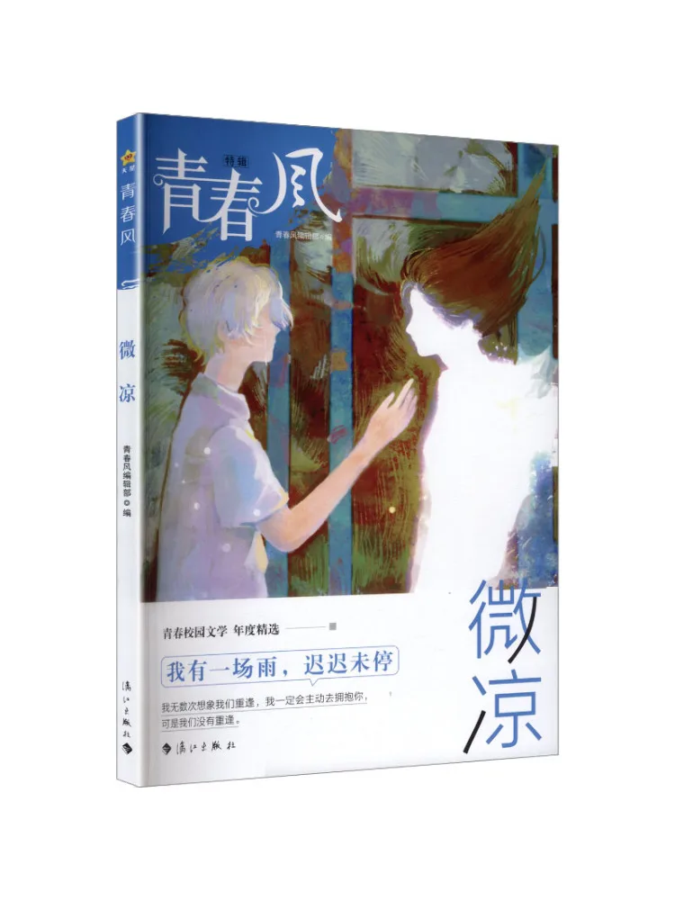 

Книга-Winshare Молодежный стиль слегка крутая