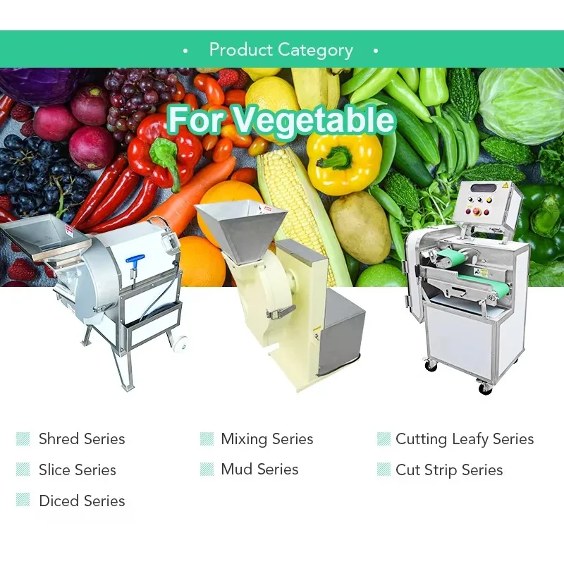 Large Capacity Industrial Vegetable Fruits Food Extractor 30L Juicer Machine