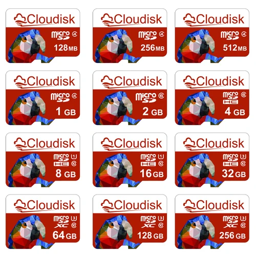 Tarjeta de memoria Cloudisk, 128GB, 256GB, U3, motivo loro, tarjeta Micro SD TF, 64GB, 32GB, 16GB, 8GB, 4GB, 2GB, 1GB, C10 para teléfono y tableta