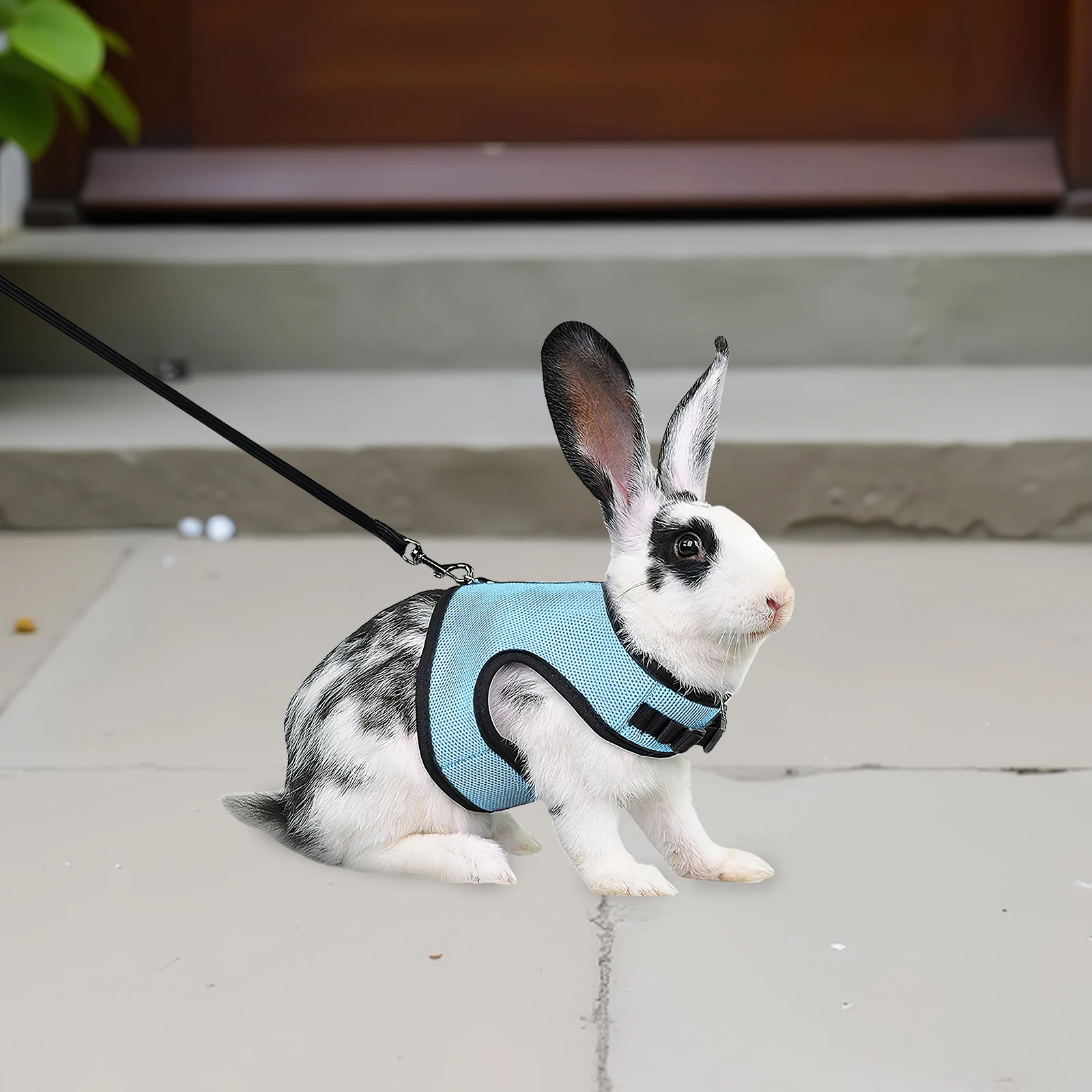 

2Pcs Bunny Vest Harness Adjustable Breathable Mesh Rabbit Leash Set Escape Proof for Outdoor Walks Training Small Animal Harness
