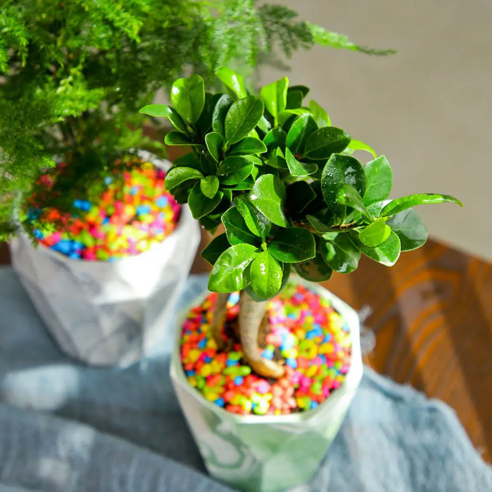 

Керамический цветочный горшок с мраморным узором для суккулентов, 1 шт., для декора дома и офиса, креативный держатель для растений, контейнер для хранения, мраморный дизайн