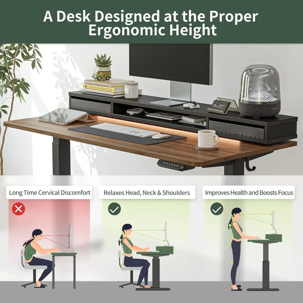 60 X 24 Inch Height Adjustable Electric Standing Desk With Double Drawers Stand Up Desk With LED Strips Office Desks Study Table