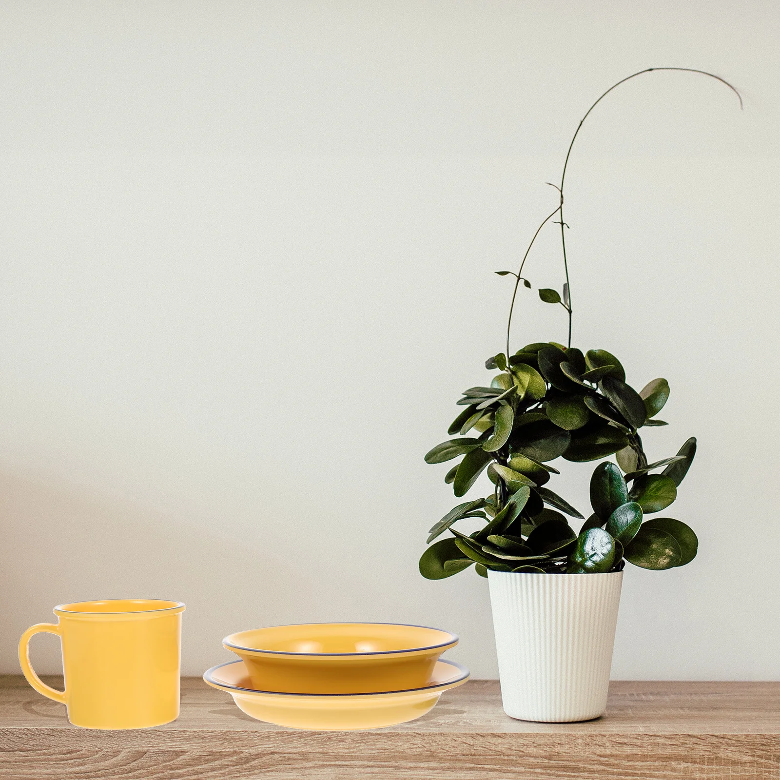 1 Set 1 Set Plate C…