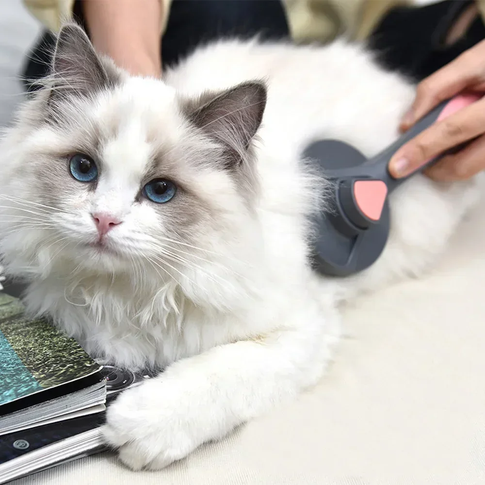 Thumbnail 3 - #31 Best Cat Deshedding Brushes to Buy In 2026