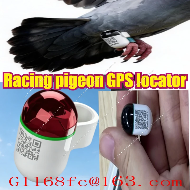1-20pcs Professional and Accurate GPS Ring Speed Data Analysis Function, Used for Daily Training Locator of Racing Pigeons
