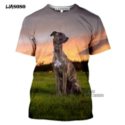 Men's T Shirt Racing Dog Greyhound Animal Short Sleeve Casual Harajuku Style Jacket Loose Plus Size Men's New