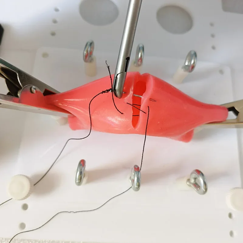 2026 NEW Laparoscopic End To End Suture And Lateral Suture Simulated Intestinal Anastomosis Silicone Training Module