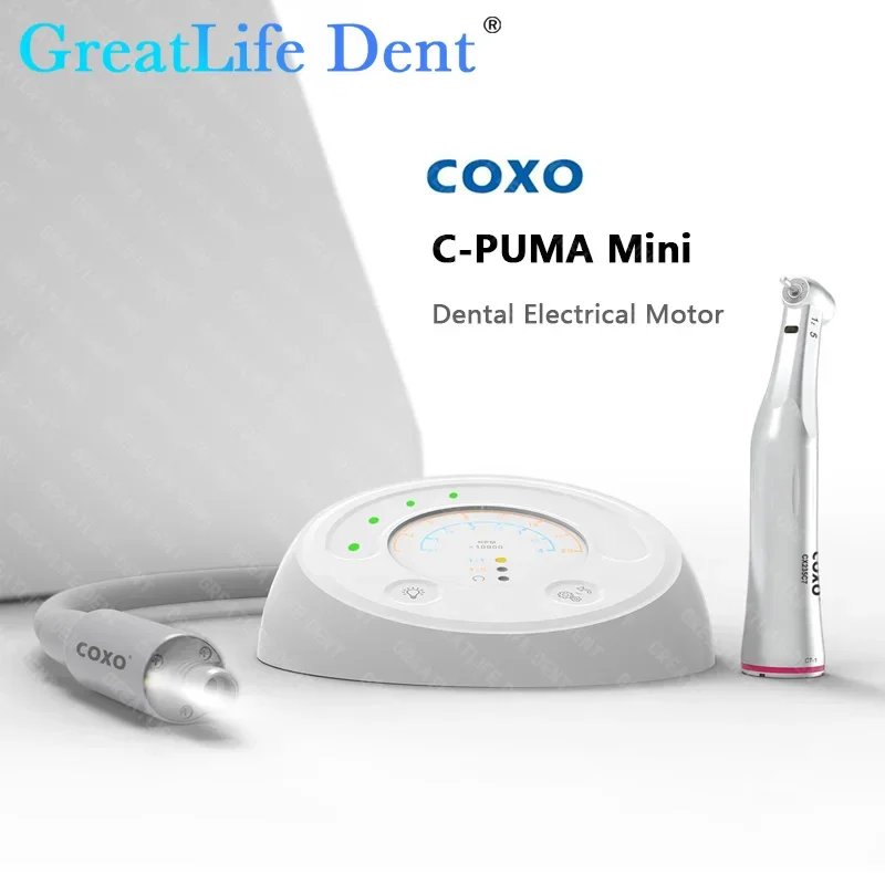 GreatLife Dent COXO C-Puma Mini Electrical Brushless Motor 1:1 Endodontic Instrument All in One 1:5 Polishing And Trimming Motor