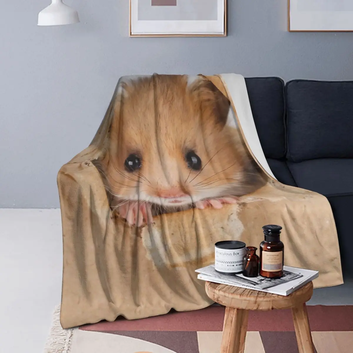 

Cute Hamster Peeping Through Hole In Brown Cardboard Blanket Soft Warm Flannel Throw Blanket Bedding for Bed Living room Picnic