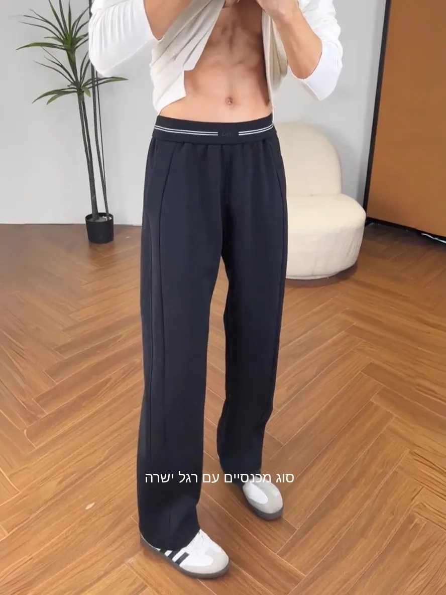 Fall 2025 Men's Casual Pants Sporty Drapey Straight Leg Lightweight Luxury Simple Long Trousers Loose Fit Business Casual
