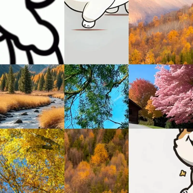 Rs 5 Carrying Case …