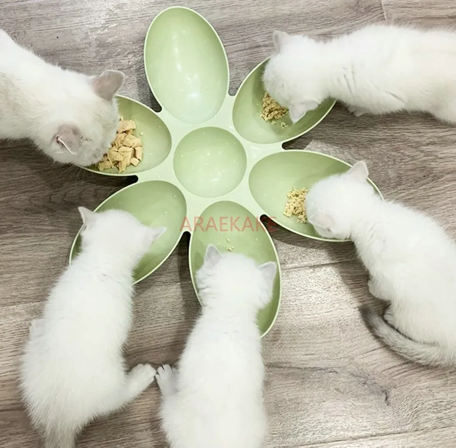 Multi cat feeding basin, cat petals, cat bowl, cat basin, kitten feeding basin, kitten tray, milk cat, milk dog feeding bowl