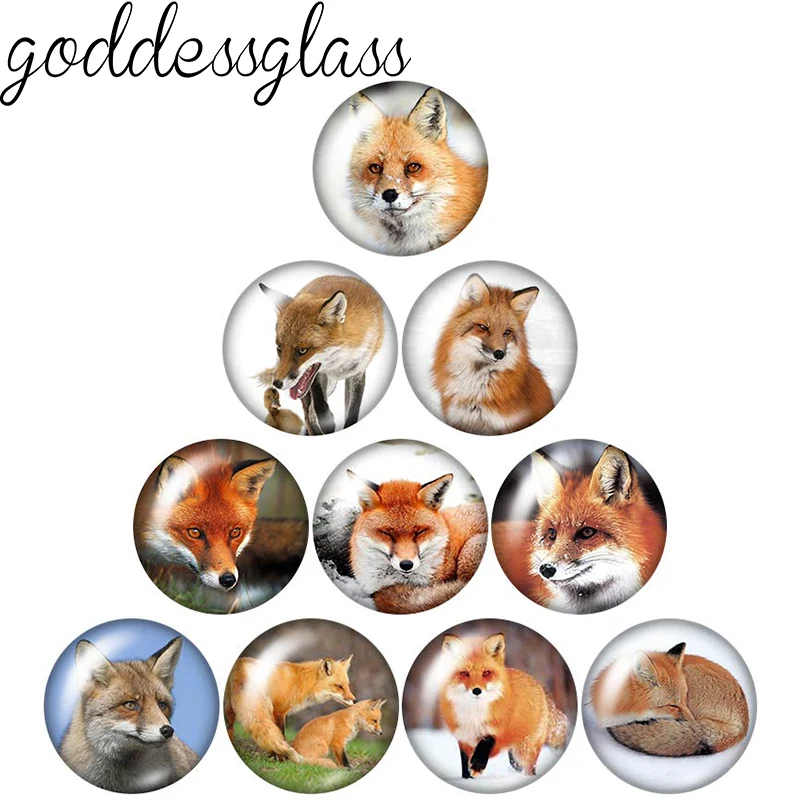 animals Fox Cartoon fox Cute Beauty 10pcs 12mm/18mm/20mm/25mm Round photo glass cabochon demo flat back Making findings