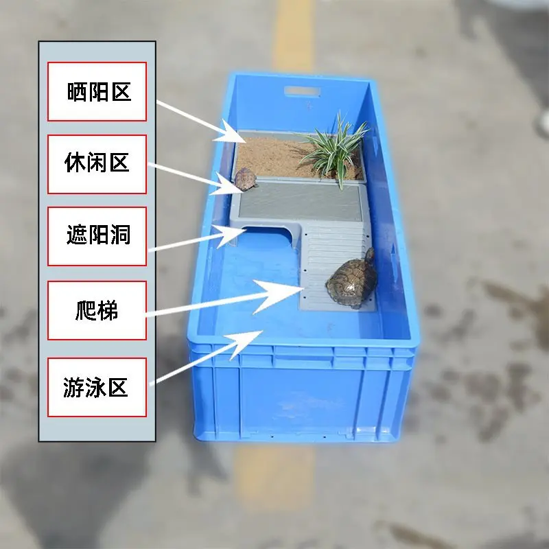 Special tank for raising turtles, extra large fish, turtle  mixed raising turnover box, plastic belt drying table, large feeding