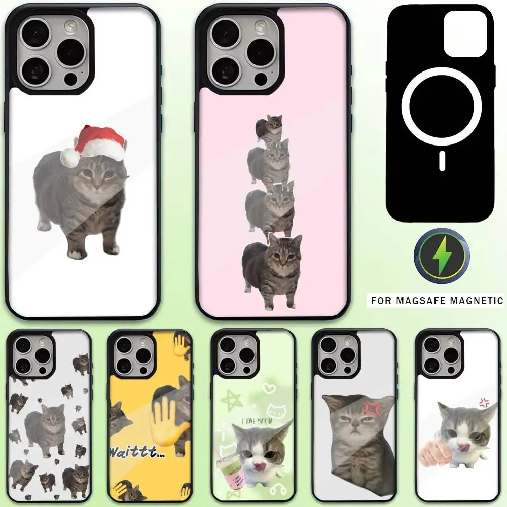 

Uia Uia Ethel Cat Phone Case For iPhone17,16,15,14,13,12,11 Plus,Pro Max Magnetic For Magsafe Wireless Charging