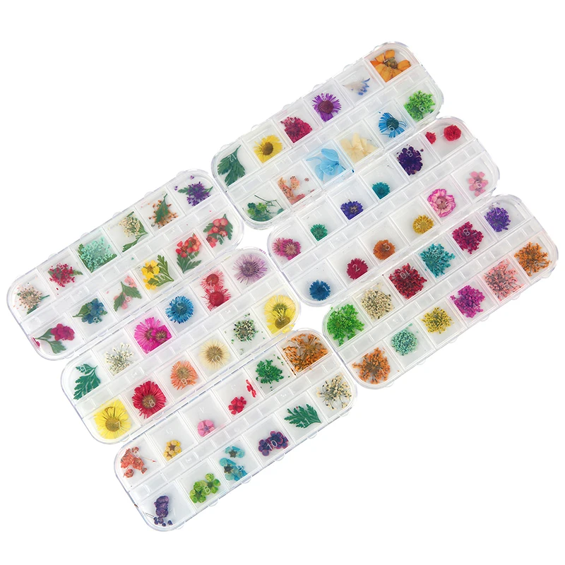 1 صندوق زهرة مجففة حقيقية لمسمار الراتنج لوازم حشوات ورقة سكرابوكينغ الديكور الحرف اليدوية النتائج Diy بها بنفسك صنع المجوهرات #4