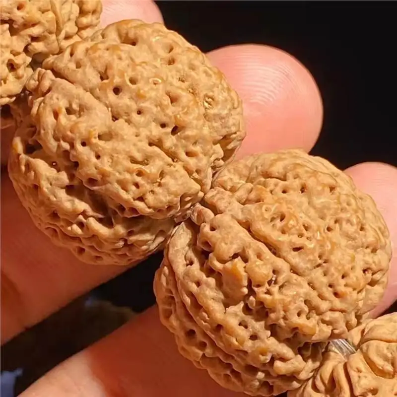 Little King Pipal S…