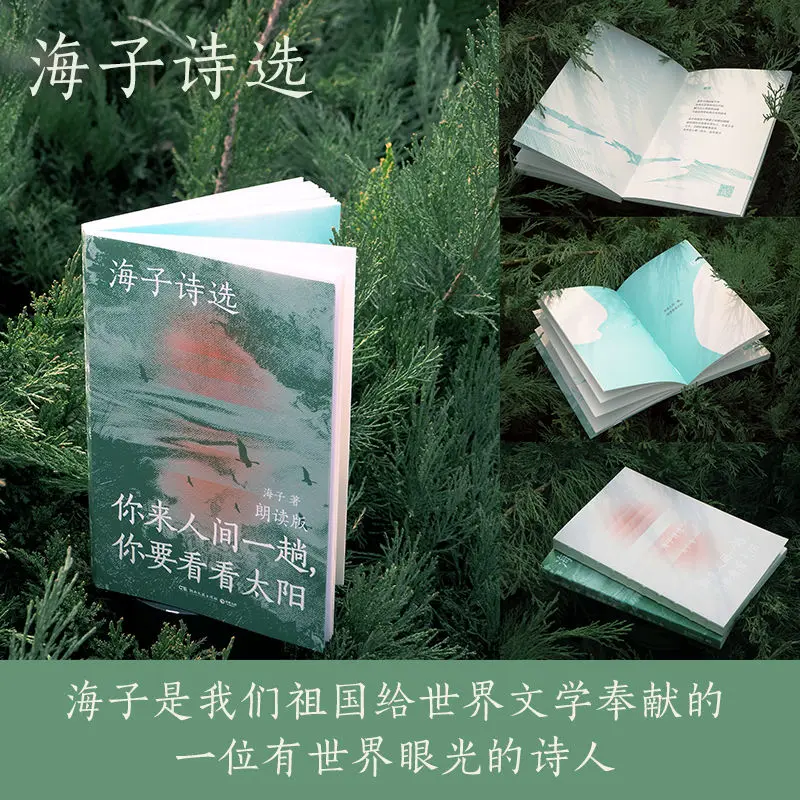 Selected poems by Haizi  Chinese modern poetry book books  One hundred short lyrical  Poetry collection book bookspoems