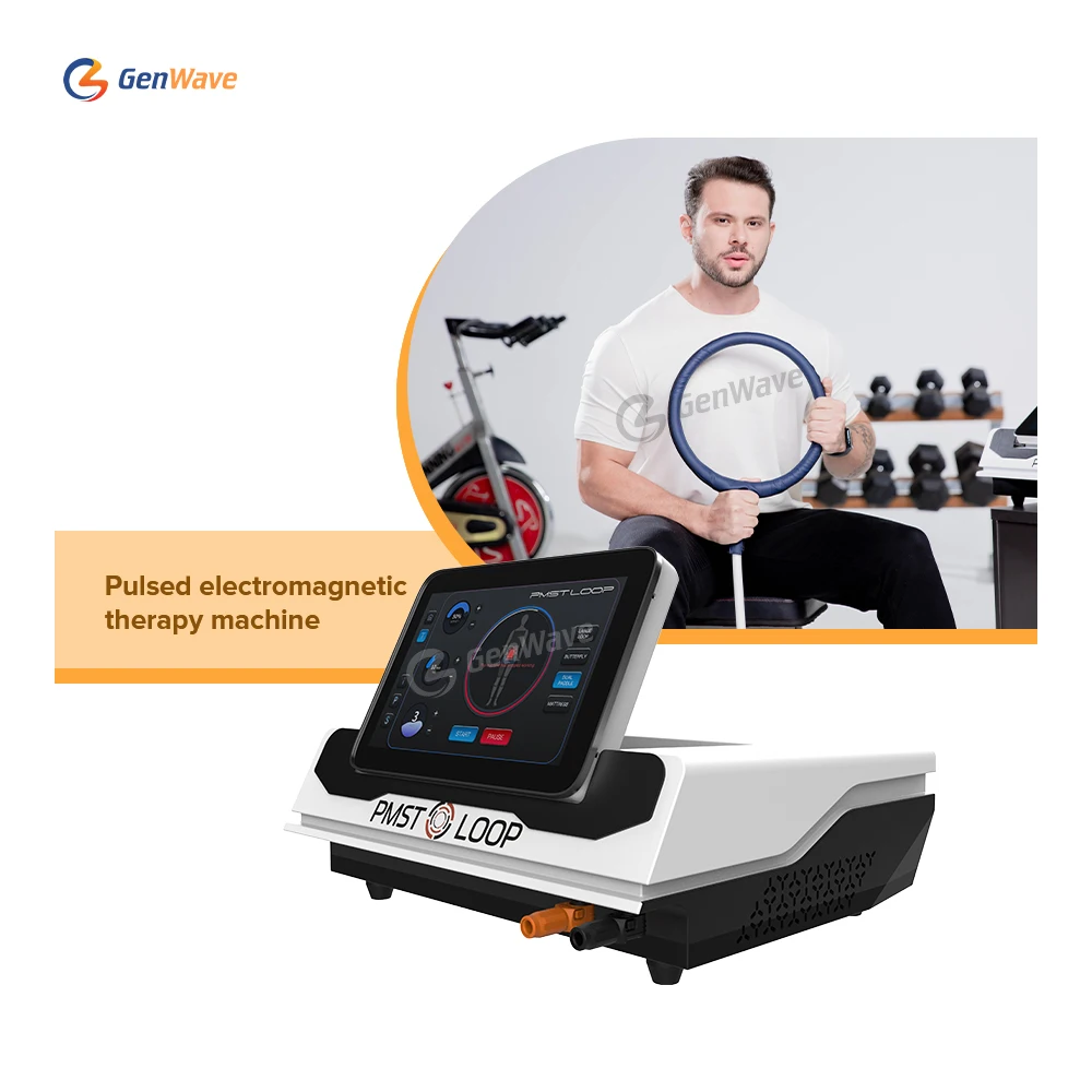 Newest PMST LOOP PEMF Magnetic Therapy Device Human Horse Physio Magneto Therapy Machine