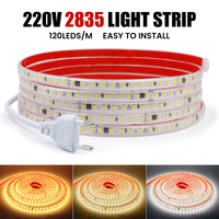 AC 220V 2835 LED Strip Light Waterproof IP65 120 LEDs Flexible Tape Lamp with IC Home Lighting White 0.5m 1m 2m 5m 10m 20m 50m