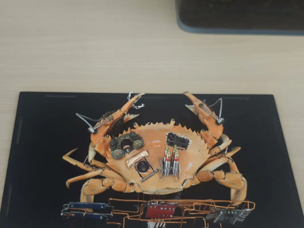 The mecha has a chip driver and can program its own claws, steampunk mecha crabs, punk armor ornaments.