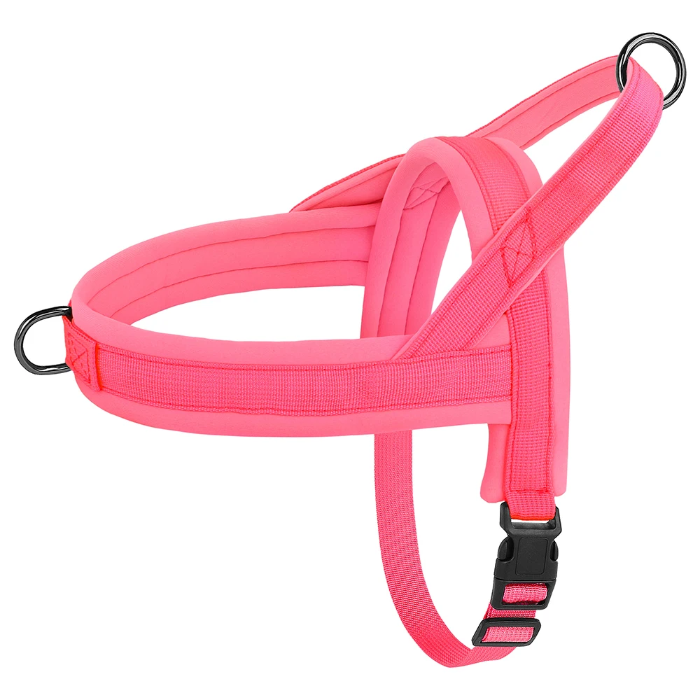 Thumbnail 2 - #87 Best Puppy Harnesses to Buy In 2026