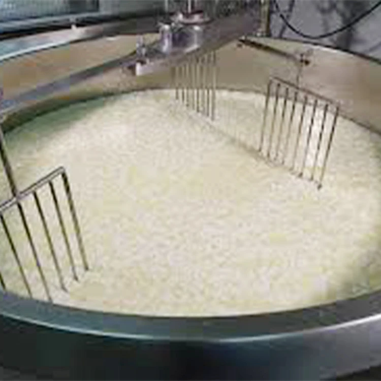 Small Cheese Making Machine Mozzarella Cheese Making Machine view 3