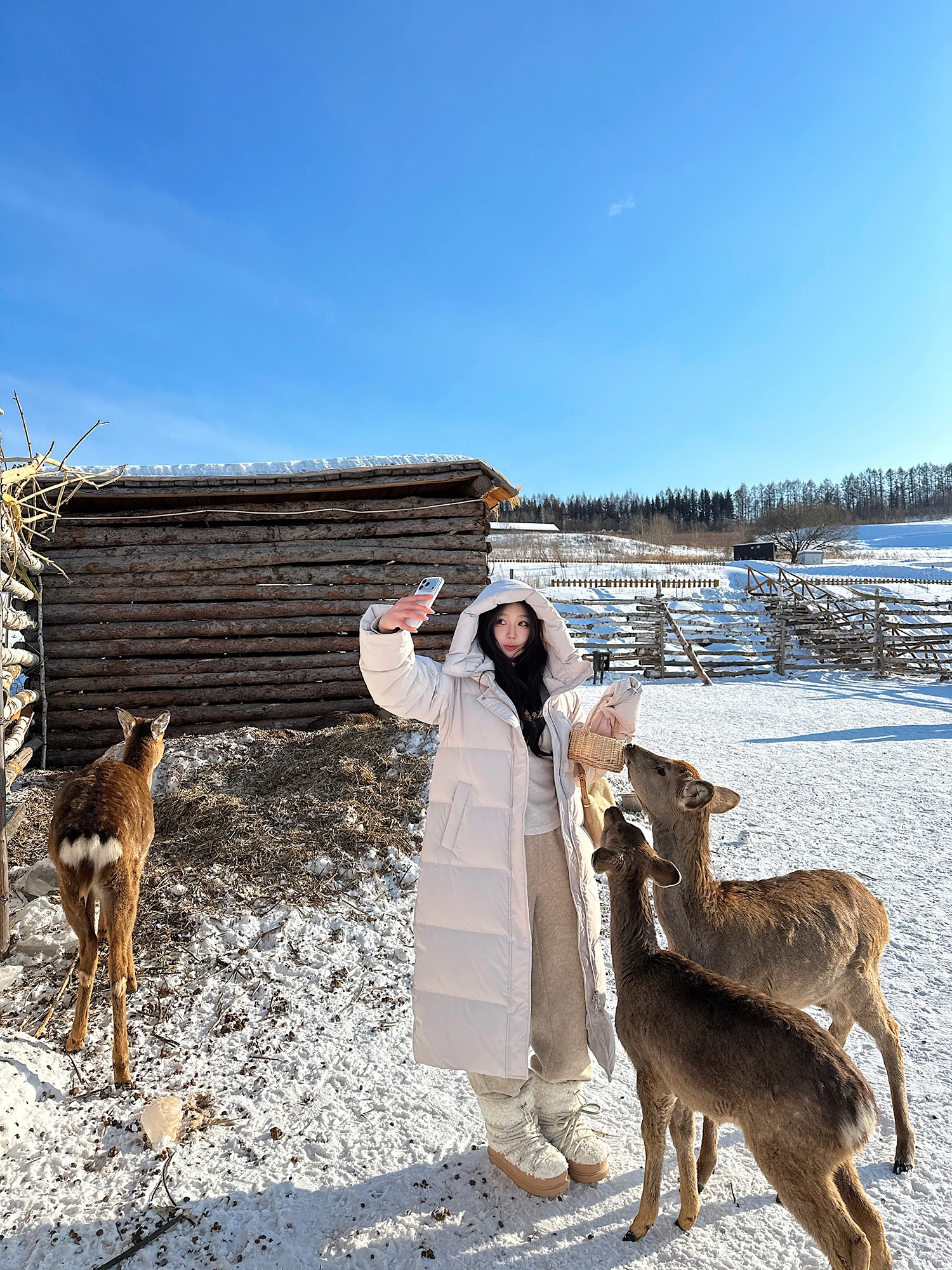 

Пуховое одеяло из сибирского гусиного пуха Top Ade, очень теплое, супертеплое, повседневное, свободного кроя, с длинным рукавом, на молнии