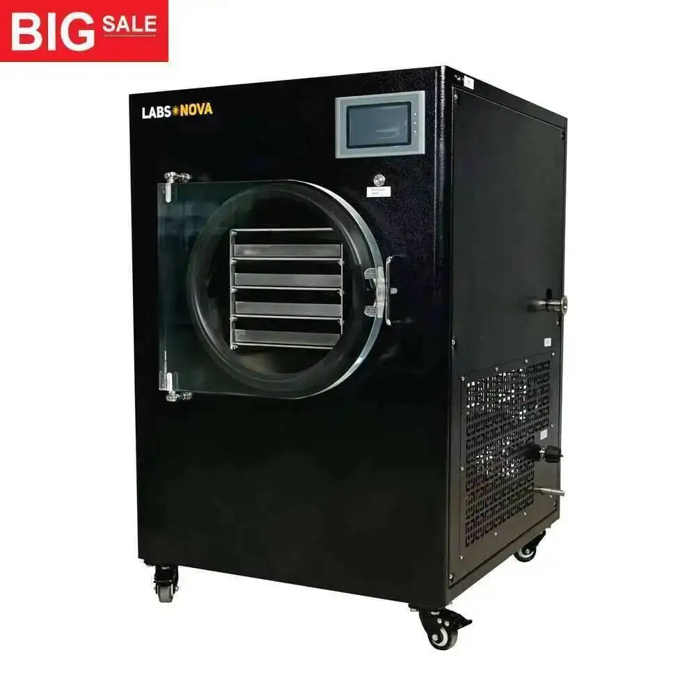 2025 New Completely Stainless Steel Fruit And Vegetable Food Freeze Dryer