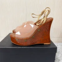 2026 Summer Gladiator Sandals Women Wedges Shoes Transparency Ankle Strap High Heel Thick Bottom Wood Grain Platform Sandals - Image 6