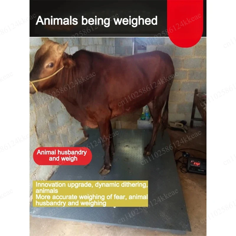 1 X 1.5 M 3 Tons Industrial Digital Scale High Precision Electronic Weighbridge With Fence  For Livestock  Weighing  Anti  Shake
