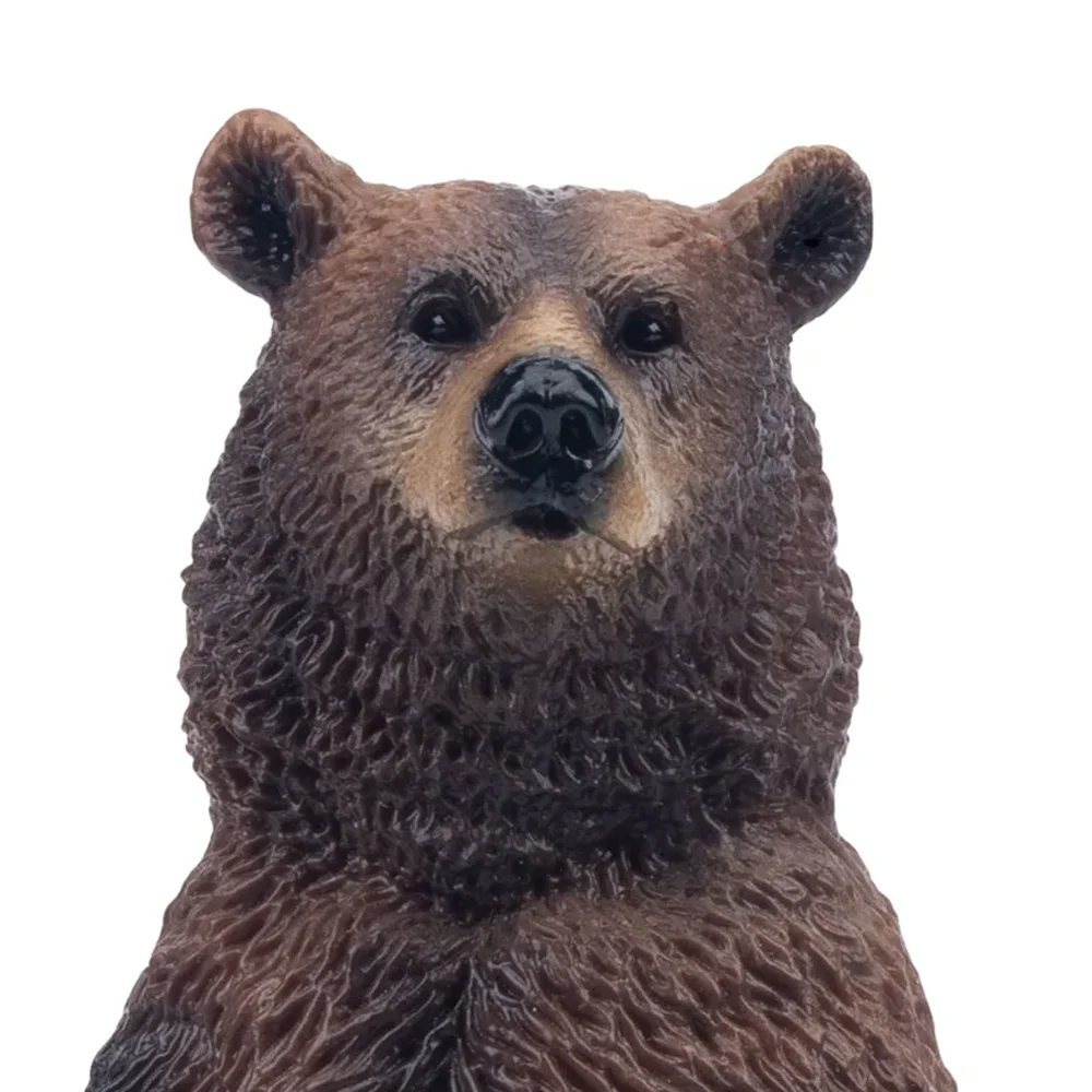 Toymany محاكاة الدائمة الدب البني الحياة البرية نماذج للحيوانات لعبة شخصيات صغيرة دمى عمل التماثيل لعب للأطفال هدية