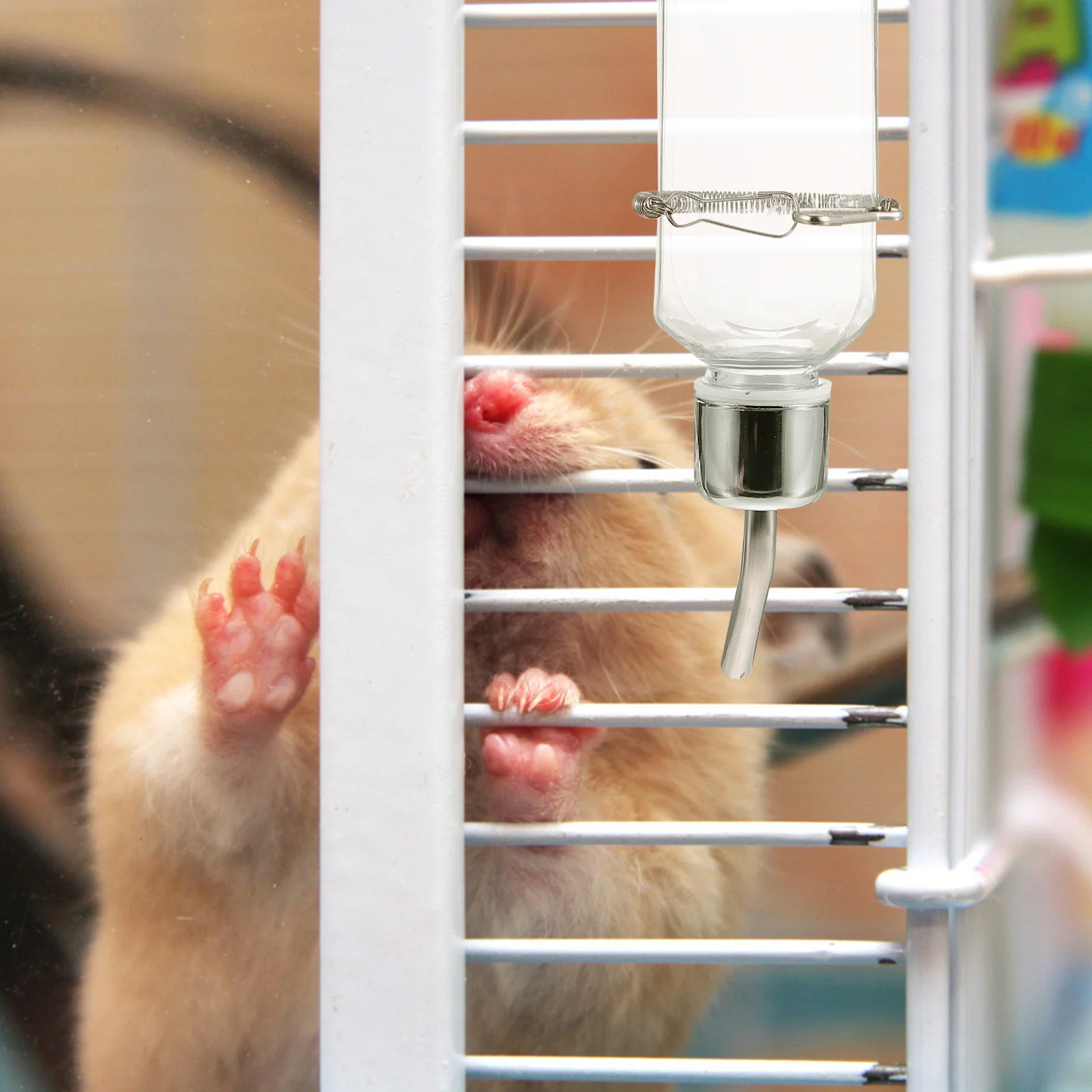 

2pcs Water Dispenser Stainless Steel Pet Drinking Bottle for Guinea Pig Rodent Birds Transparent Feeder Hay Accessory