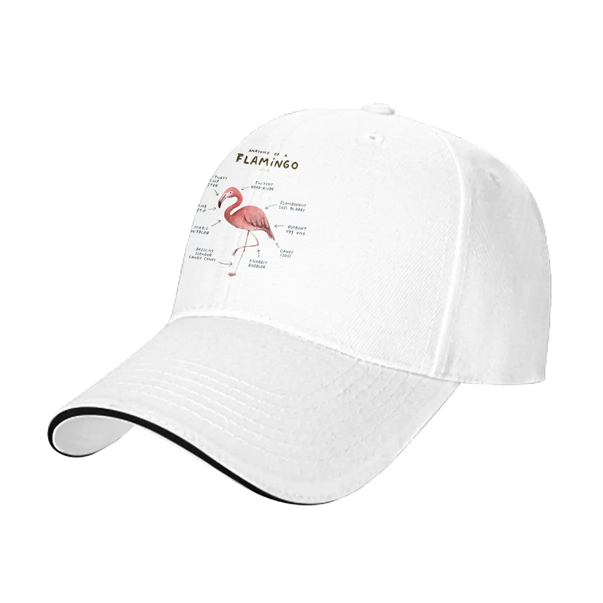 Anatomy Of A Flamingo Baseball Cap Men Hats Women Visor Protection Snapback Flamingo Animals Caps