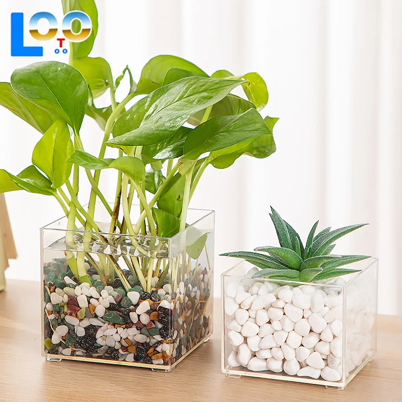 الحد الأدنى الحديثة البلاستيك الشفاف جرة مربعة المنزل زهرة زهرية المائية حاوية النباتات سطح المكتب الديكور
