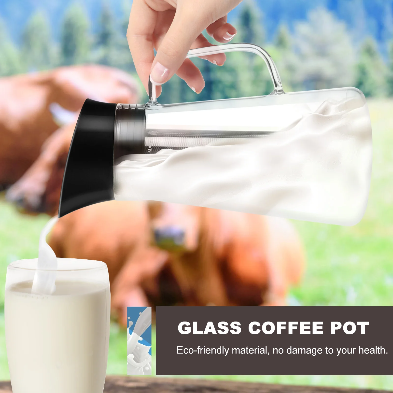 1Pcs Premium Glass Coffee Pot with Filter Large Jug for Cold Brew Tea Heat Resistant Coffee Kettle Multi Functional Storage